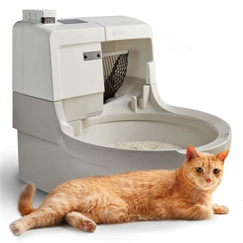 electric kitty litter box that you hook up to toilet|self scooping litter box.